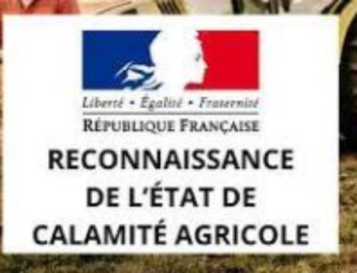 CALAMITÉ AGRICOLE – Perte de récolte tournesol, maïs (ensilage et grain), millet, sorgho, sarrasin, soja et cultures porte graines